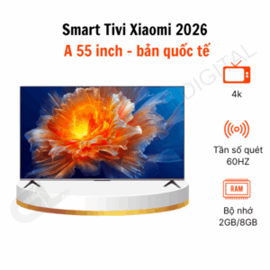 A 55 Qt 2026
