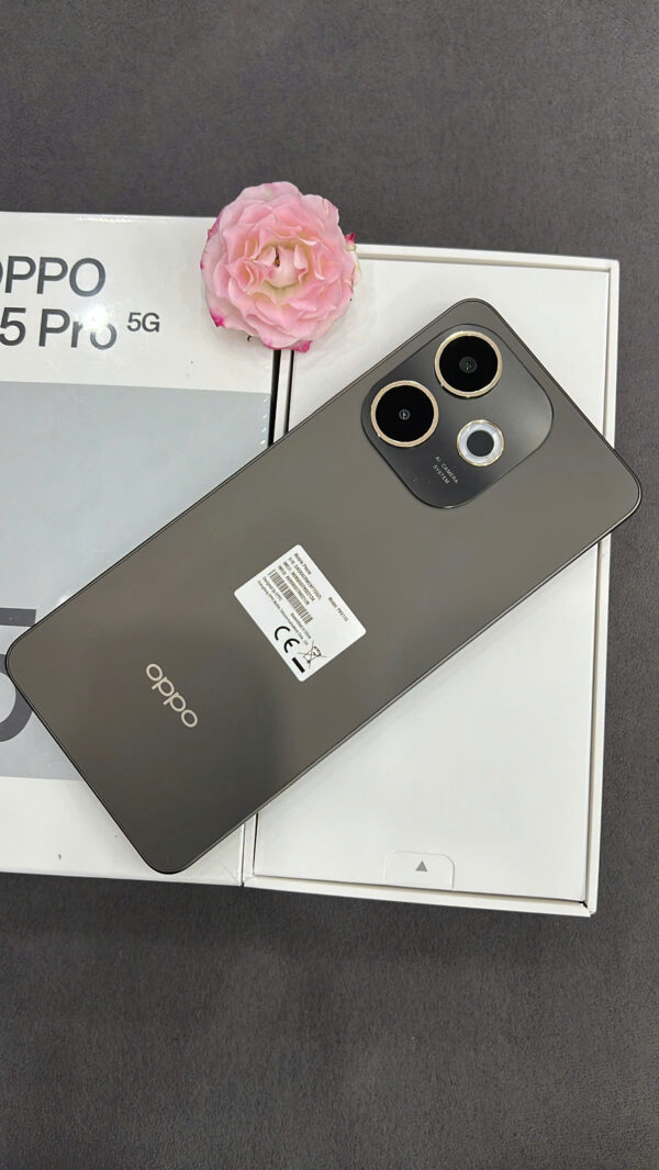 Z7058823696925_c06623322ec2686c6d52622311ceed6d