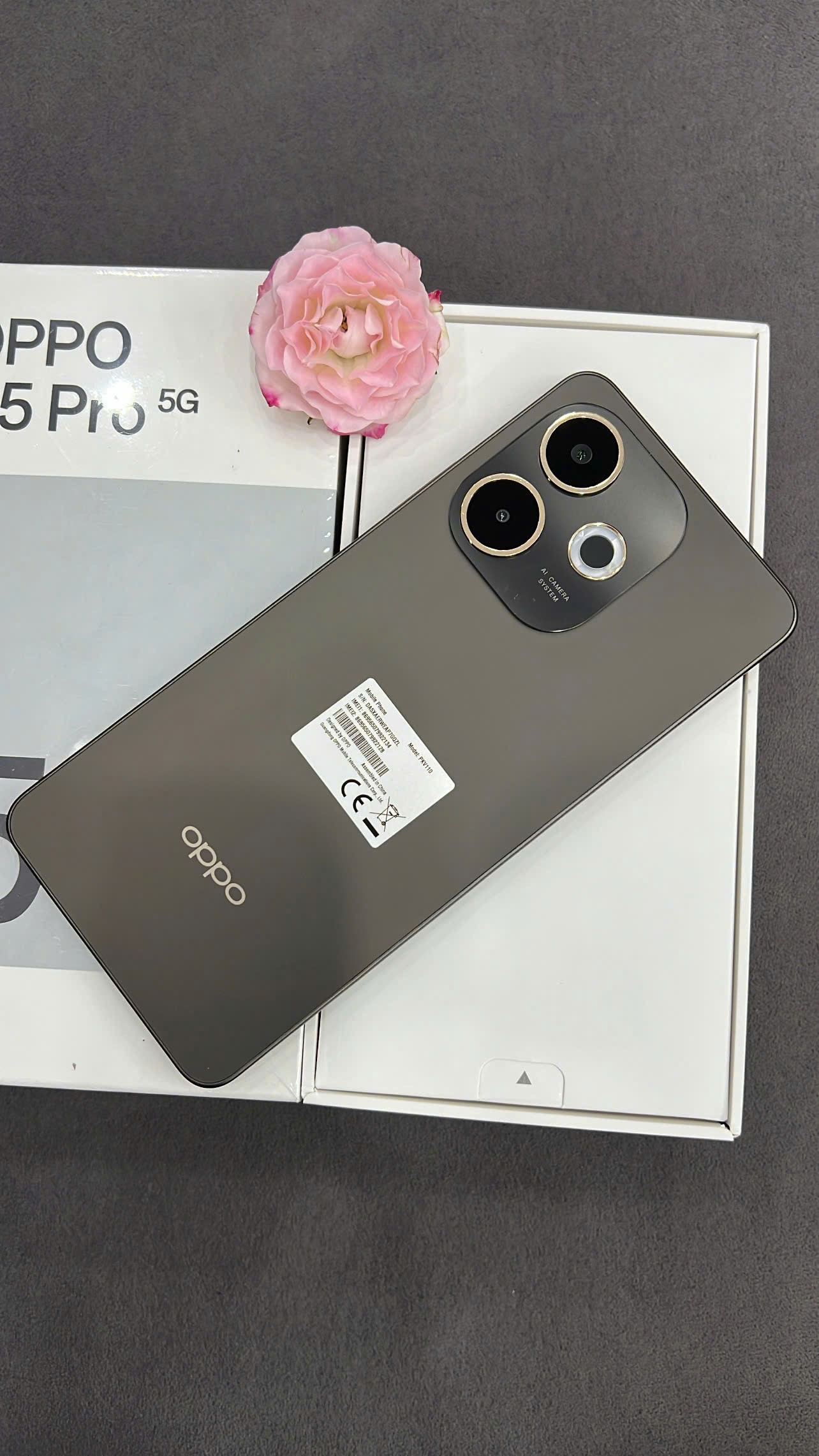 Z7058823696925_c06623322ec2686c6d52622311ceed6d