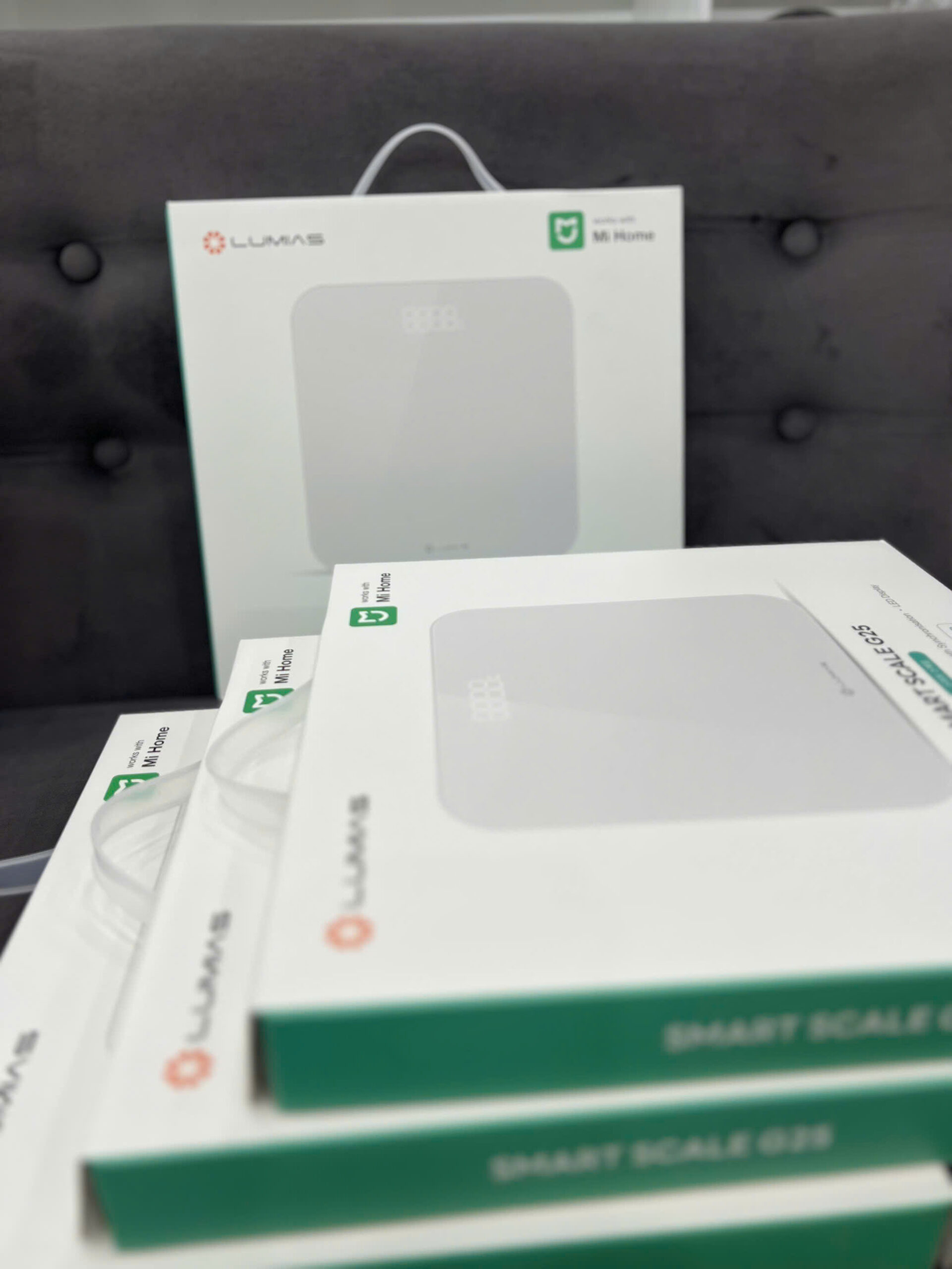 Z7213279893730_c22d48f1eb7cff838377f7ef86018e8b