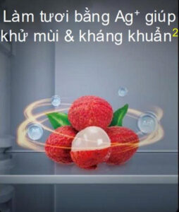 Z7226793567599_8f886c45e7f5abe51e7f181a3666eaad