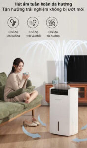 Z7251241683268_87045c65fcad6a46fa9939ca8a9a52ae